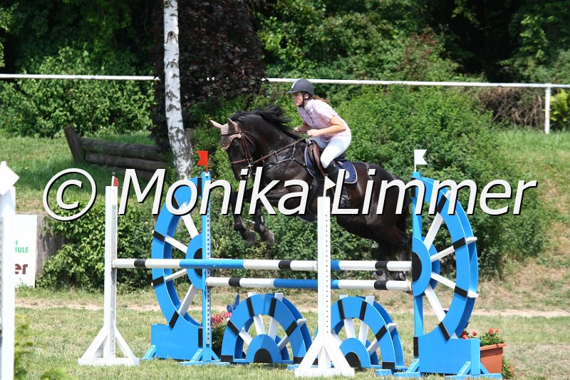 105M3694_Stakkatos Shadow II_Spring_L.JPG